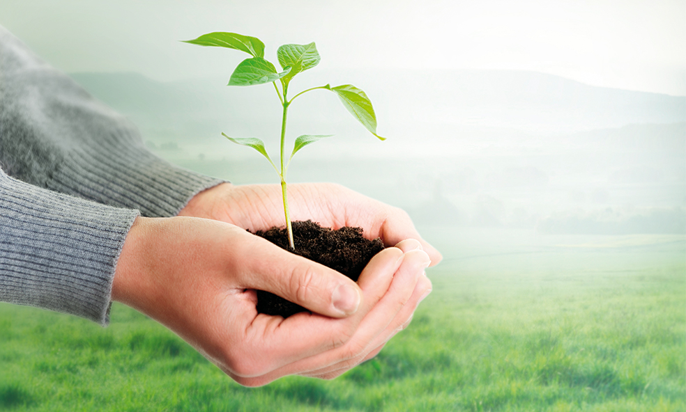 Unsere Werte: Nachhaltigkeit Unsere Werte: Nachhaltigkeit